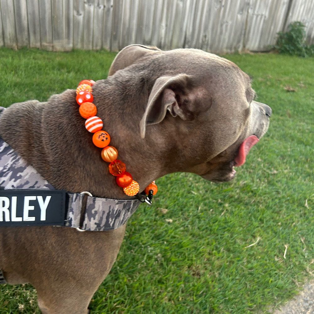 Spooky Spark Beaded Dog Collar - XL beads