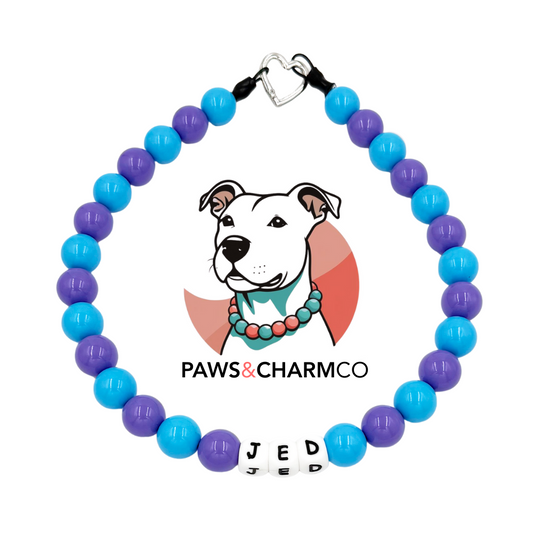 Blue & Purple Pop Beaded Collar XL Beads